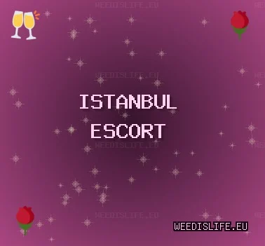 İstanbul Escort: Beyoğlu Escort, Bakırköy Escort, Zeytinburnu Escort
