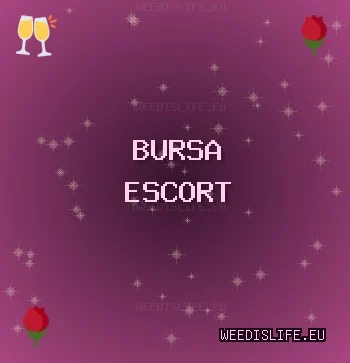 Bursa Escort: Orhangazi Escort, Gemlik Escort, Orhaneli Escort