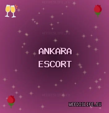 Ankara Escort: Elmadağ Escort, Kahramankazan Escort, Mamak Escort